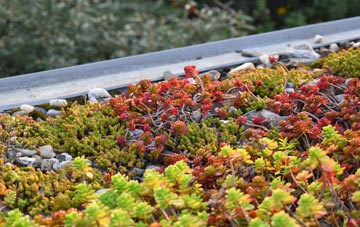 the cost of Saxthorpe green roof installation