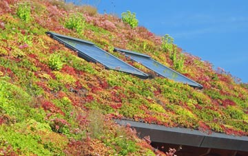 Saxthorpe living roof systems