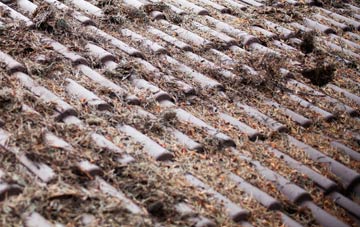 Saxthorpe roof cleaning companies